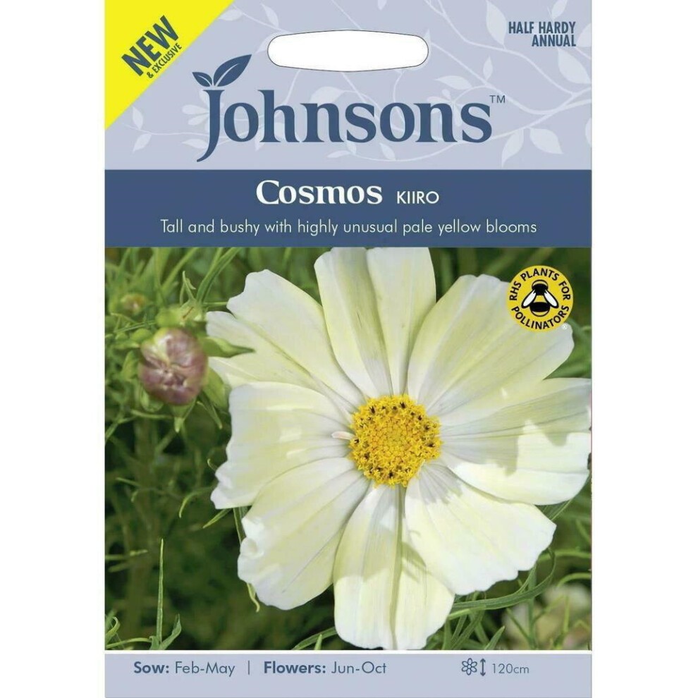 Packaged seed packet for Johnsons Grow Your Own Cosmos Kiiro, featuring a pale yellow flower on the front, with text highlighting sowing and flowering details, and a yellow circle for pollinators.