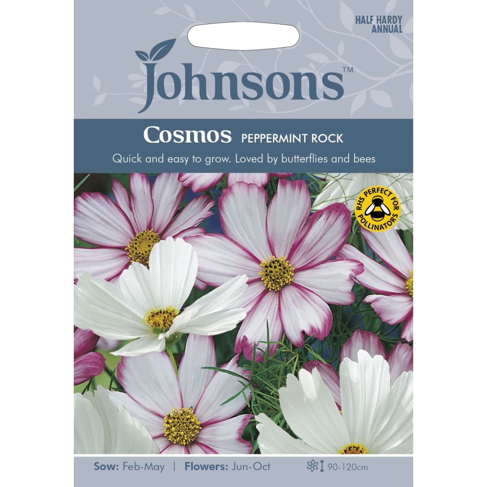 Colorful seed packet featuring Cosmos Peppermint Rock flowers in pink and white, with instructions for sowing and flowering times, and a pollinator-friendly symbol.