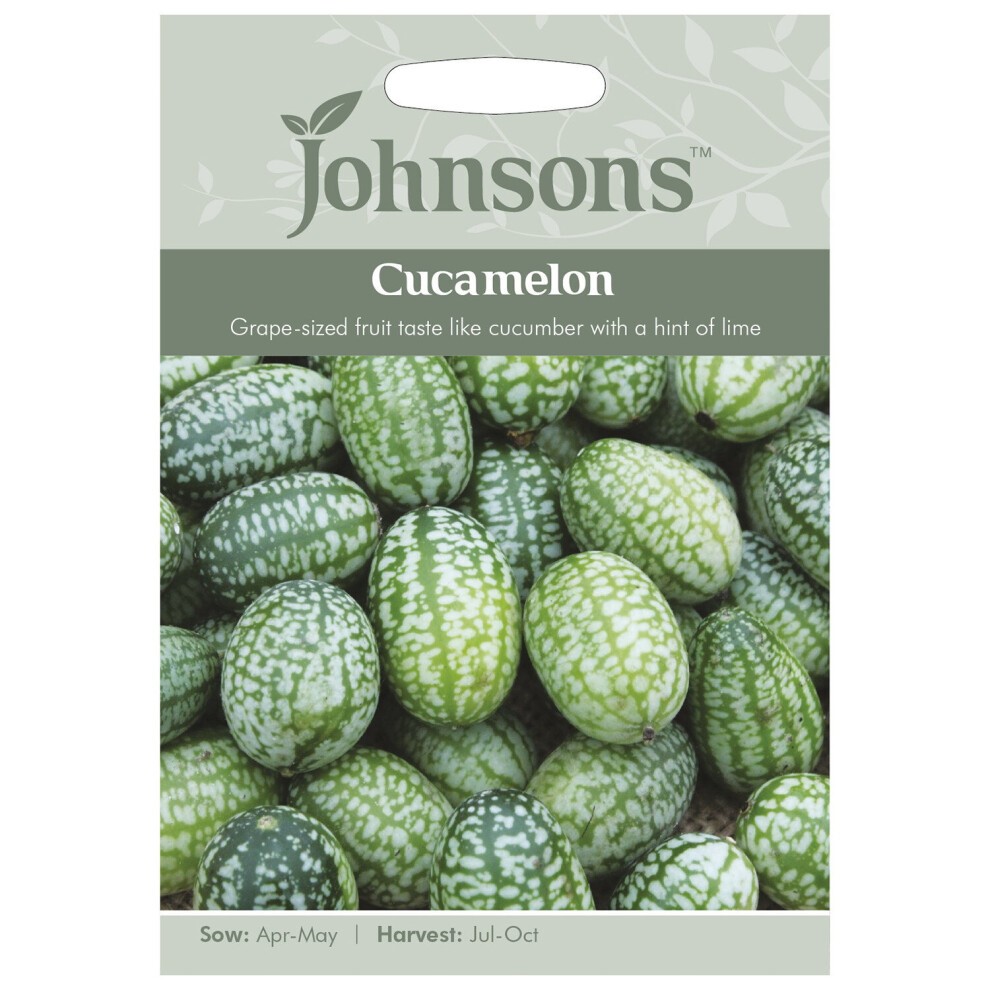 Green and white packet featuring Johnsons Seeds branding, labeled "Cucamelon," showcasing grape-sized cucamelon seeds with a description of taste and harvest details.