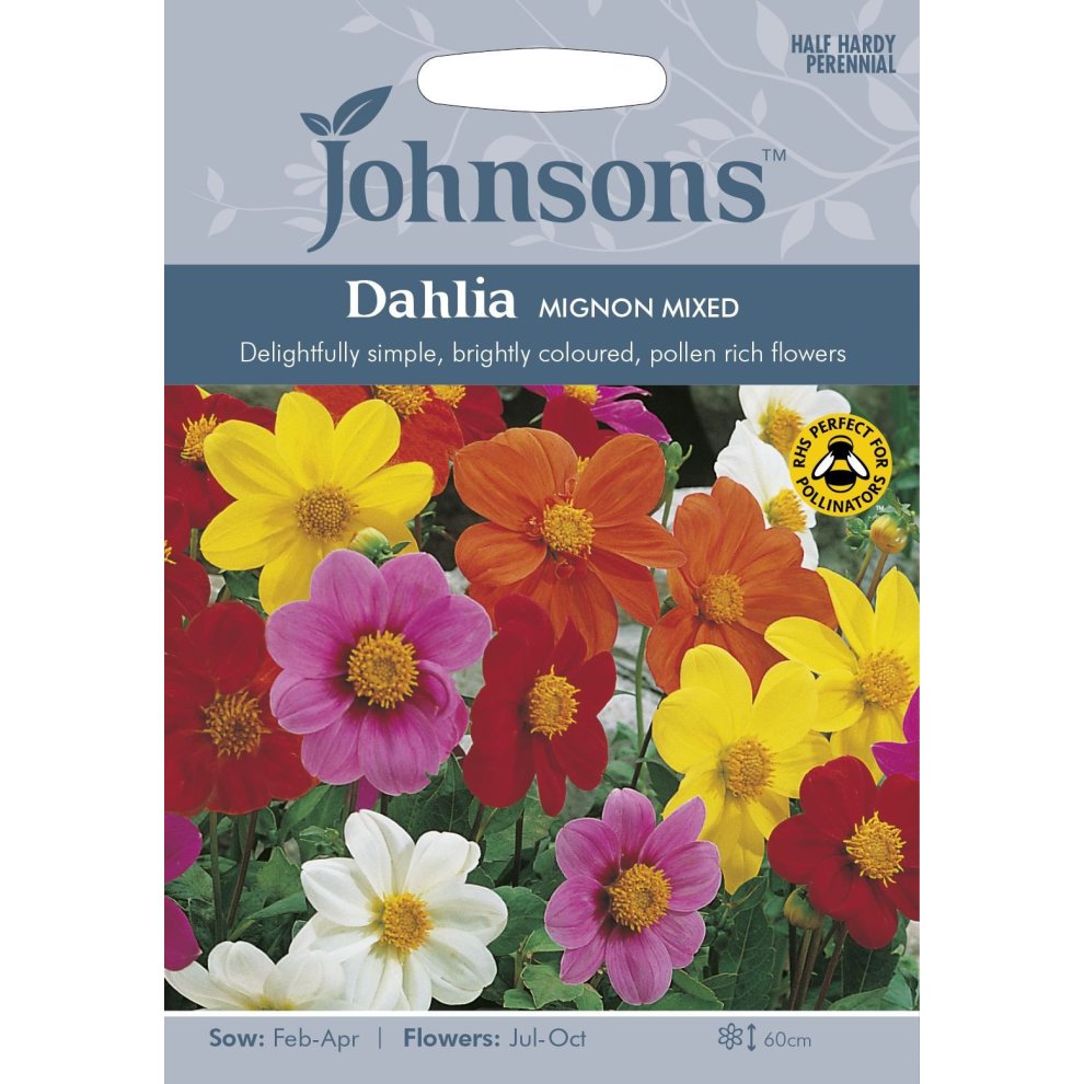 Brightly colored flower seeds pack featuring various dahlias in yellow, red, pink, and orange, with details on sowing and flowering times, and a pollinator-friendly label.