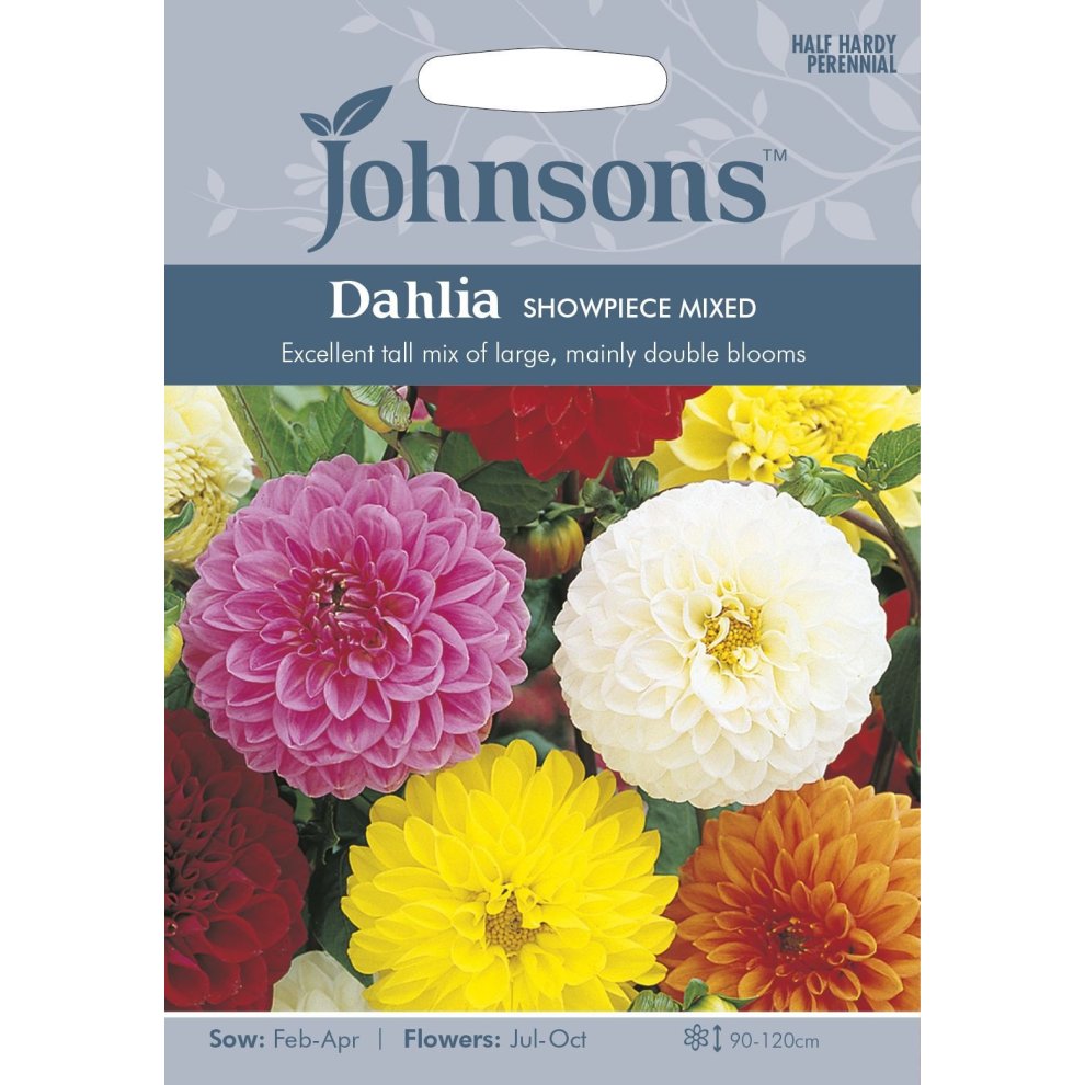 Brightly colored Dahlia flowers in shades of pink, white, yellow, and red on a seed packet, featuring the Johnsons logo and details about sowing and flowering times.