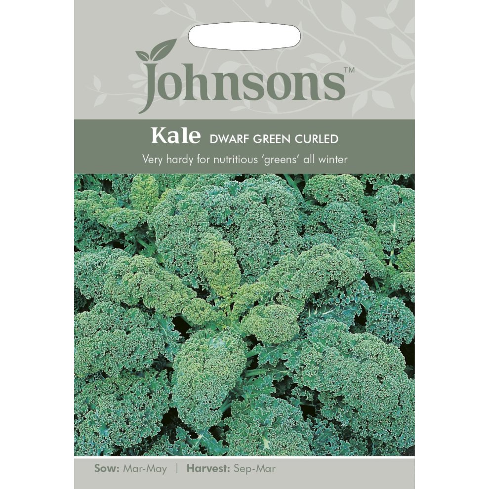 Pictorial seed packet for Johnsons Seeds featuring "Kale Dwarf Green Curled," showcasing lush green kale leaves, with sowing and harvesting details at the bottom.