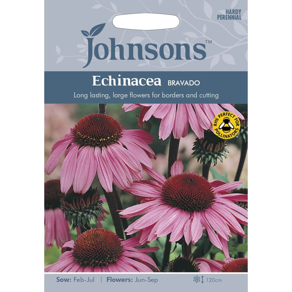 Pictorial seed packet featuring vibrant pink Echinacea Bravado flowers, with a header "Johnsons" and details on sowing and flowering times.