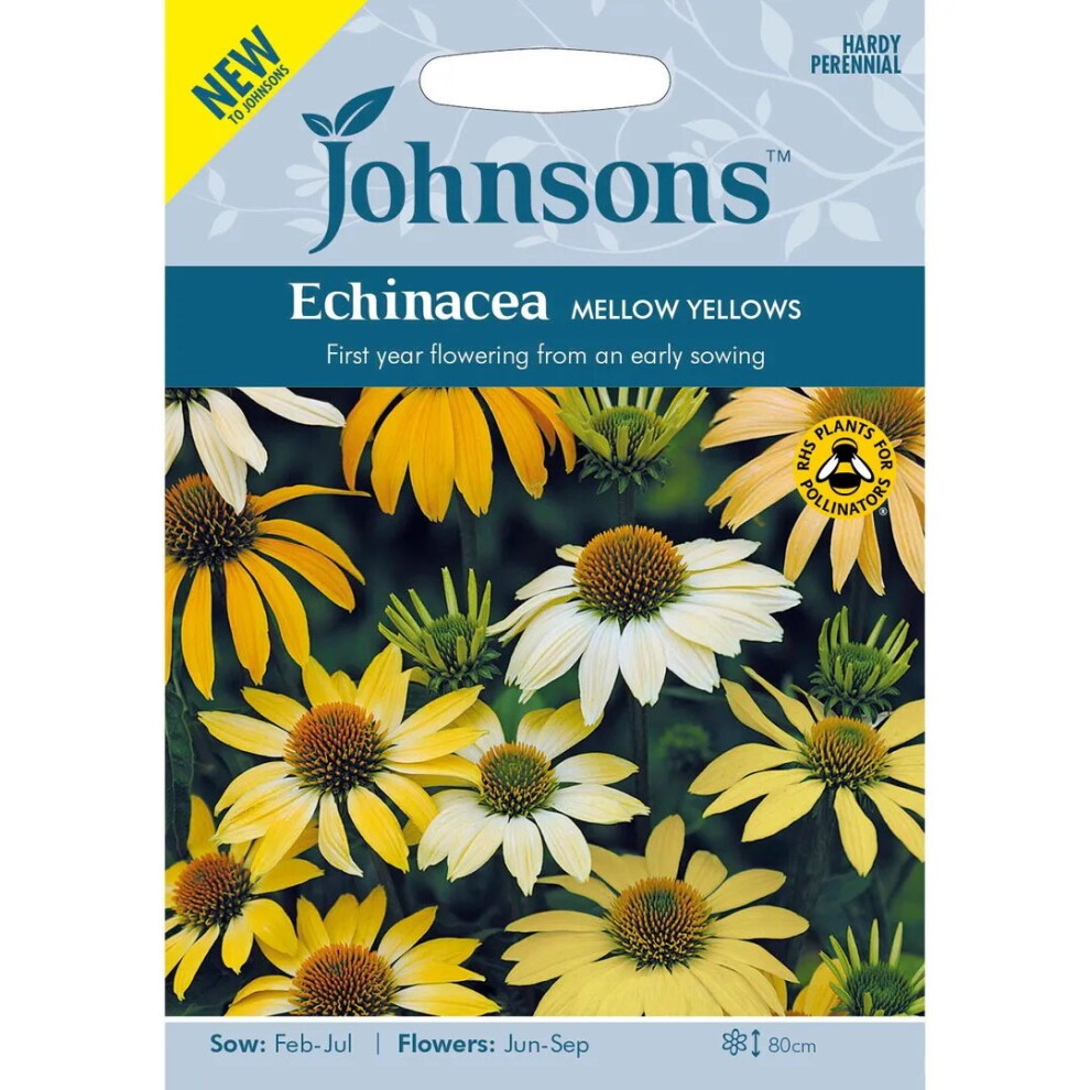Brightly colored seed packet featuring Johnsons branding, showcasing Echinacea Mellow Yellows flowers in yellow and white, with sowing and flowering instructions on a blue background.