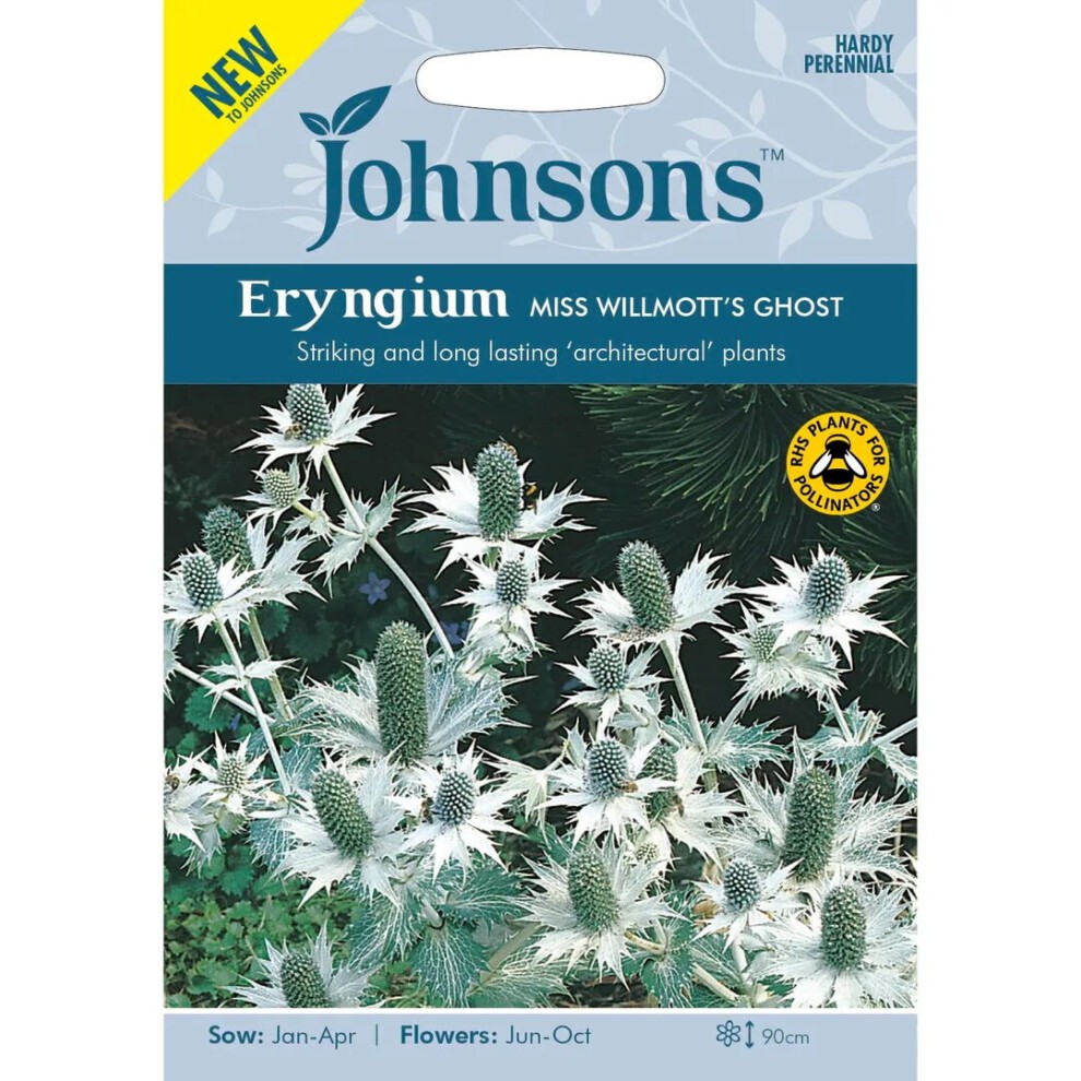 Packaged seeds for Eryngium Miss Willmott's Ghost, featuring a white and green design with a photo of spiky, architectural plants, labeled as hardy perennial and suitable for pollinators.