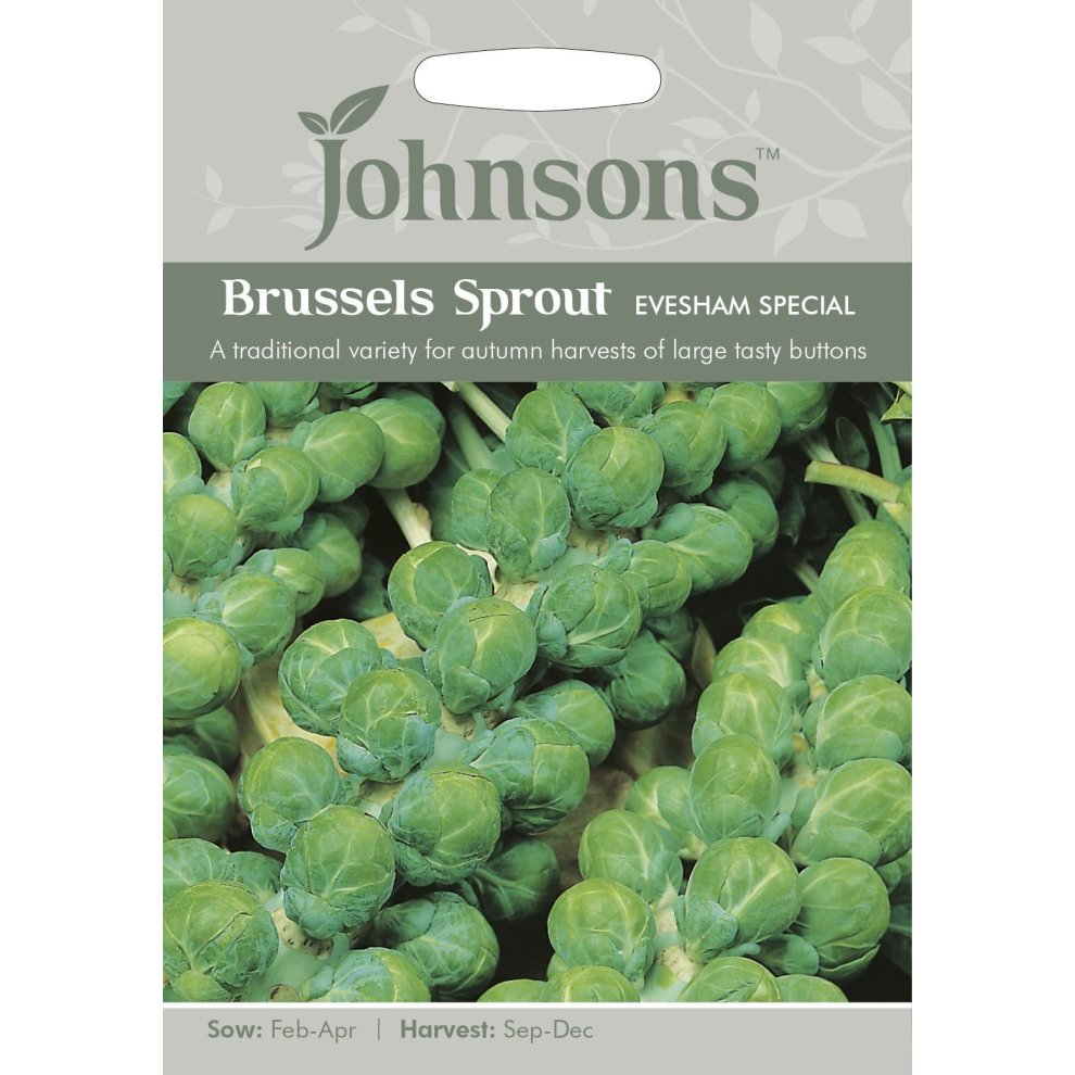 Green seed packet featuring Brussels Sprout Evesham Special, with a close-up of sprouts, sowing and harvesting details, and the Johnsons logo at the top.