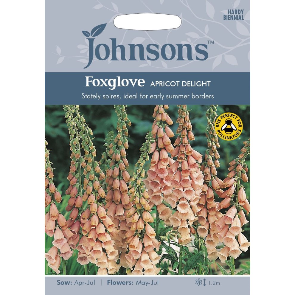 Pictorial seed pack for Johnsons Seeds featuring Foxglove Apricot Delight, showcasing soft apricot-colored flowers with a green background and planting instructions.