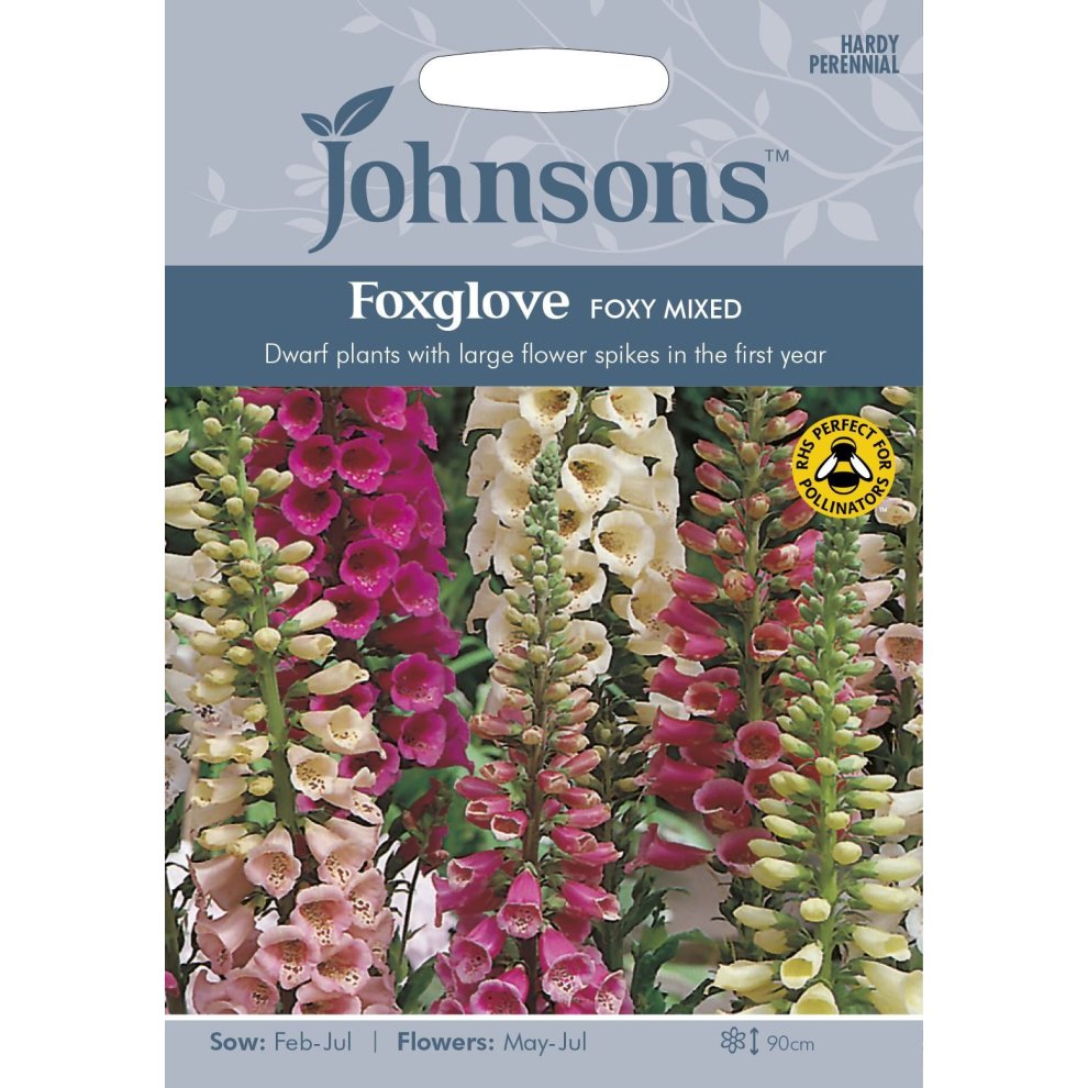 Pictorial seed pack featuring vibrant foxglove flowers in pink, white, and purple, labeled "Johnsons Foxglove Foxy Mixed," with sowing and flowering details.