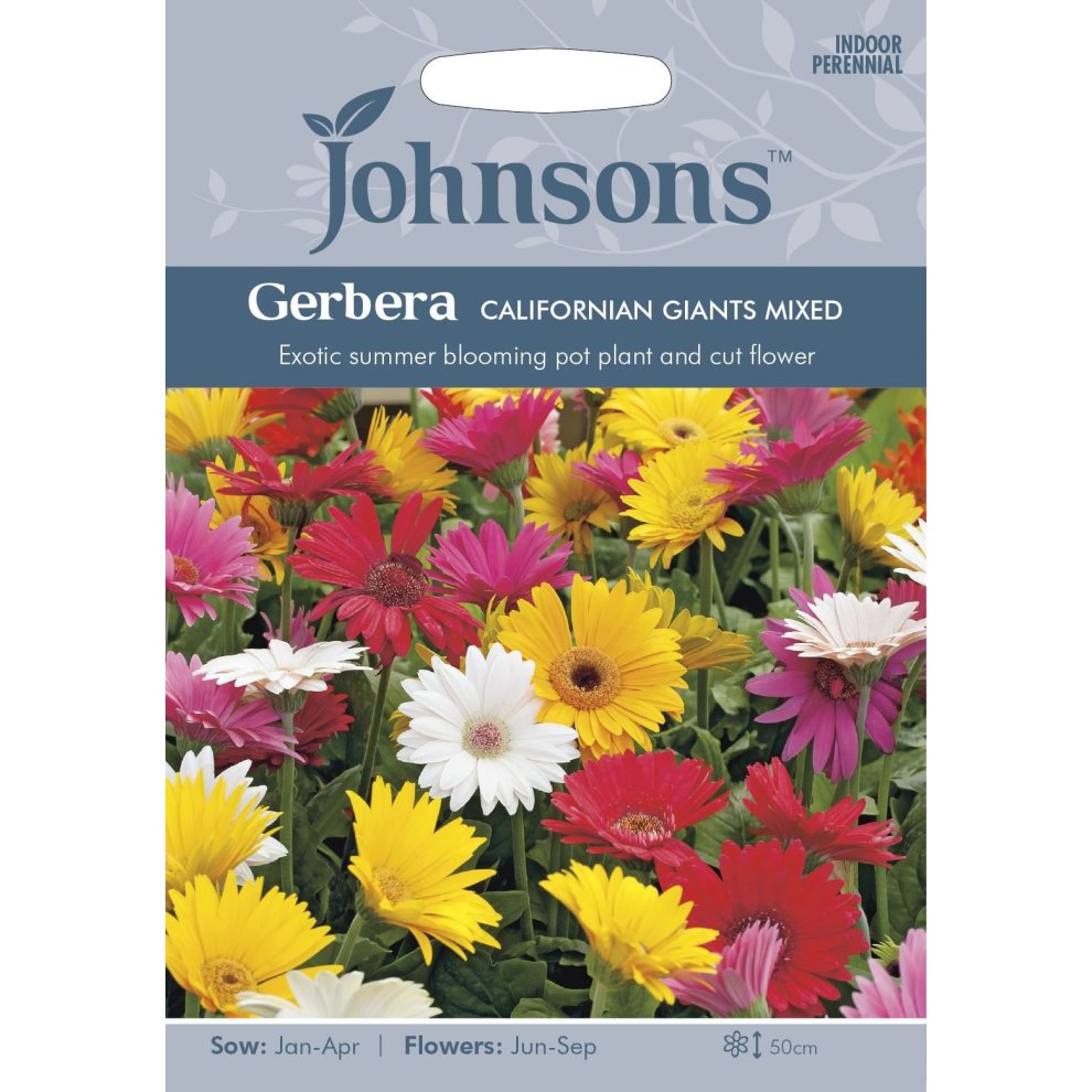 Brightly colored seed packet featuring Gerbera California Giants Mixed flowers in shades of pink, yellow, red, and white, with sowing and flowering details on a light blue background.
