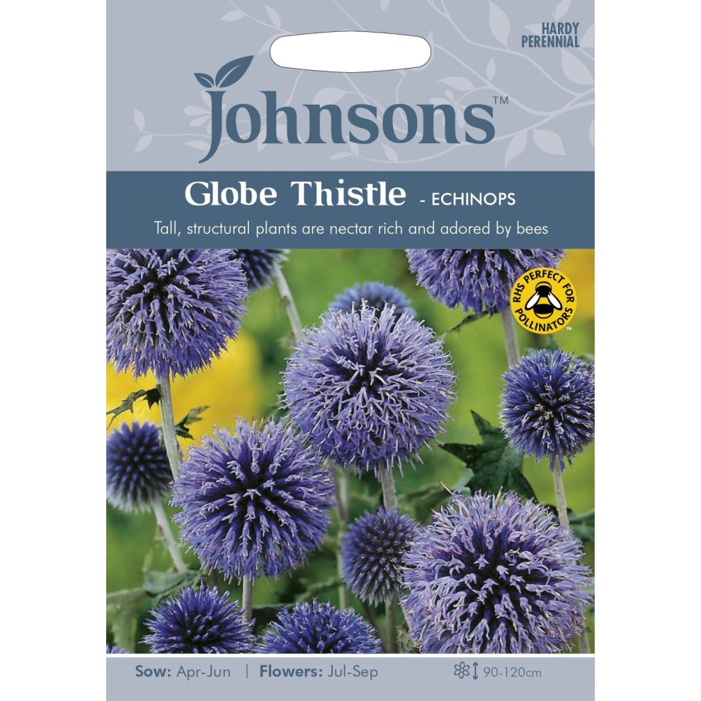 Pictorial seed packet featuring vibrant blue Globe Thistle flowers, with a description highlighting their nectar-rich nature and suitability for pollinators.
