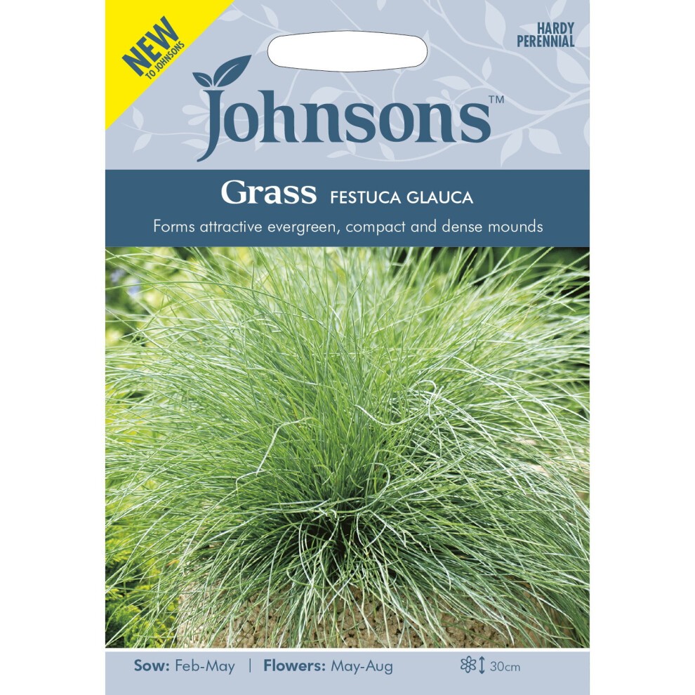 Packet of Johnsons Grow Your Own Festuca Glauca seeds featuring a light blue background, green grass illustration, and text highlighting sowing and flowering details.
