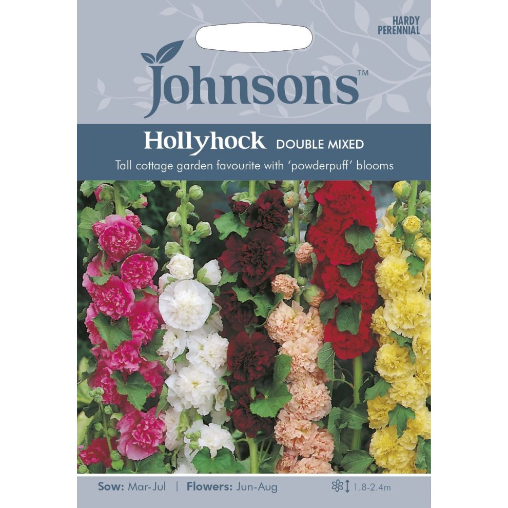 Pictorial seed pack featuring vibrant hollyhock flowers in red, pink, white, and yellow, with a description of sowing and flowering times, by Johnsons Seeds.
