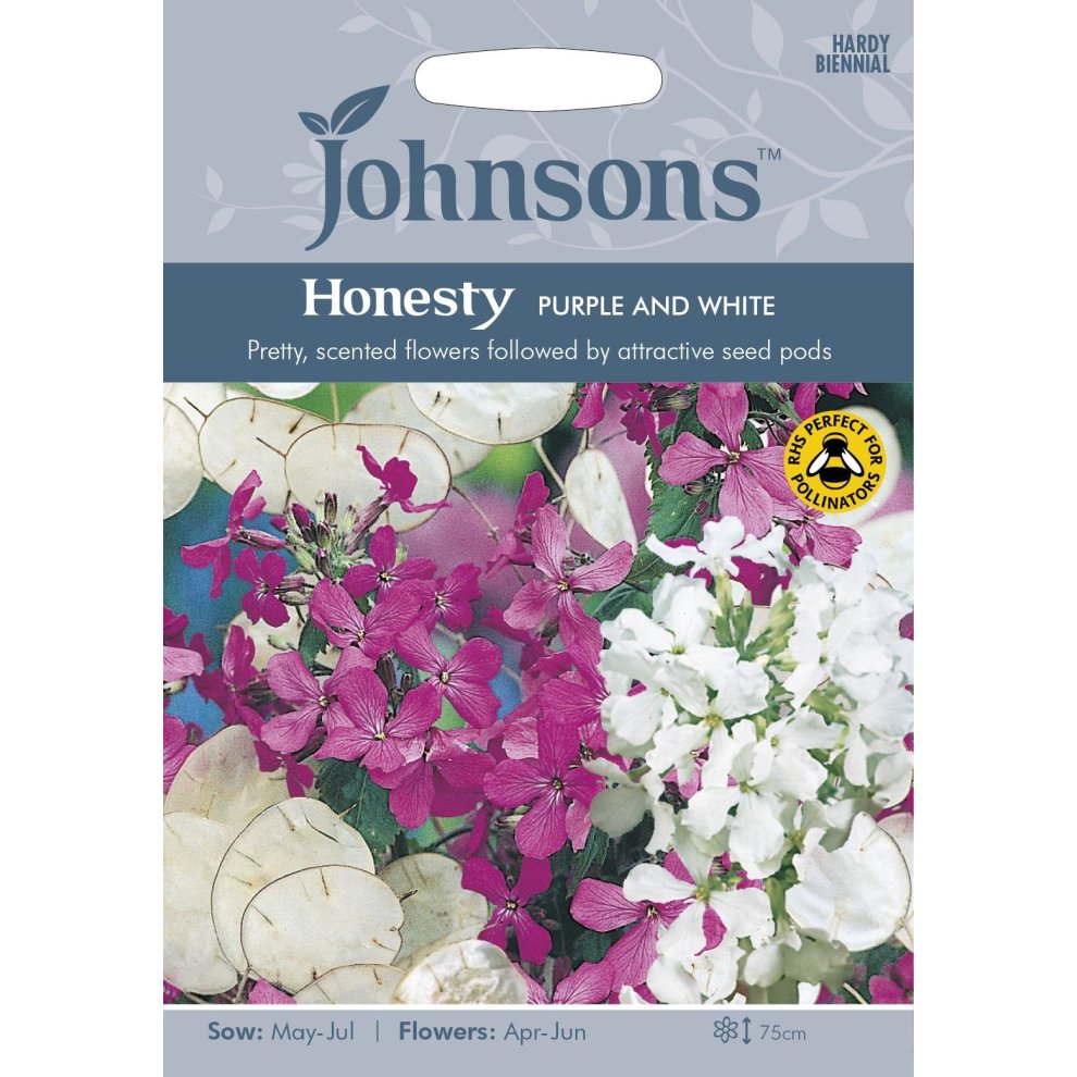 Johnsons Seeds pack featuring purple and white Honesty flowers, with a floral design and key details about sowing and flowering times, set against a light background.
