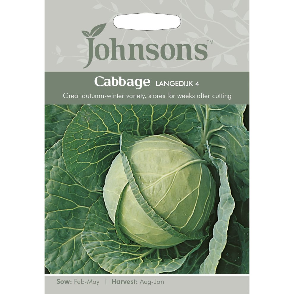 Pictorial seed pack featuring a green cabbage with textured leaves, labeled "Cabbage Langedijk 4," indicating sowing and harvesting months, with a light gray background.