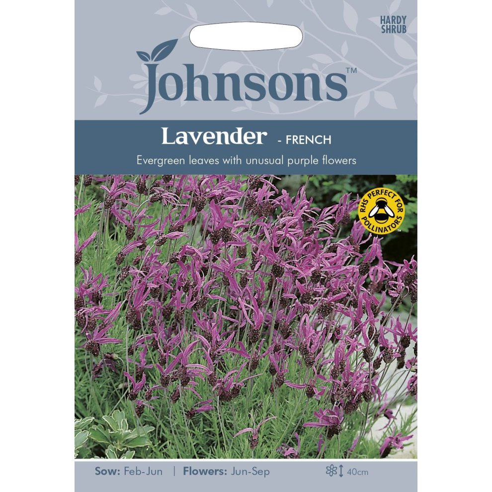 Johnsons Seeds pack featuring French Lavender with vibrant purple flowers, evergreen leaves, and planting details, set against a light background.