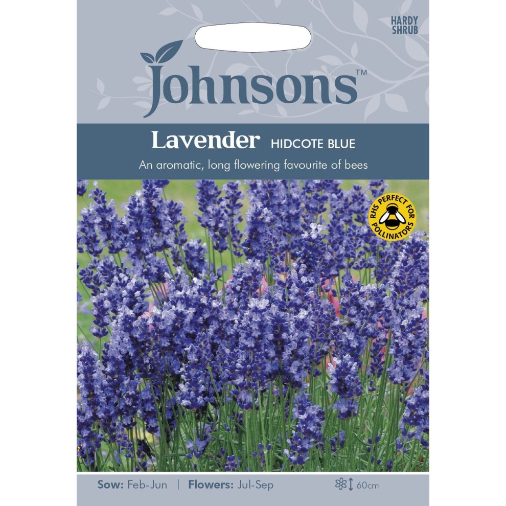 Pictorial seed pack featuring vibrant purple lavender flowers, labeled "Johnsons Lavender Hidcote Strain," with sowing and flowering details and a bee-friendly logo.