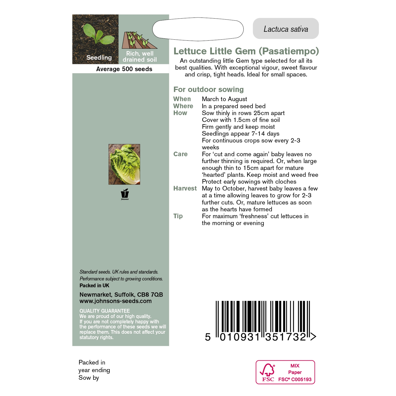 Johnsons Lettuce Little Gem Pasatiempo Vegetable Seeds 500 Pack - image 3