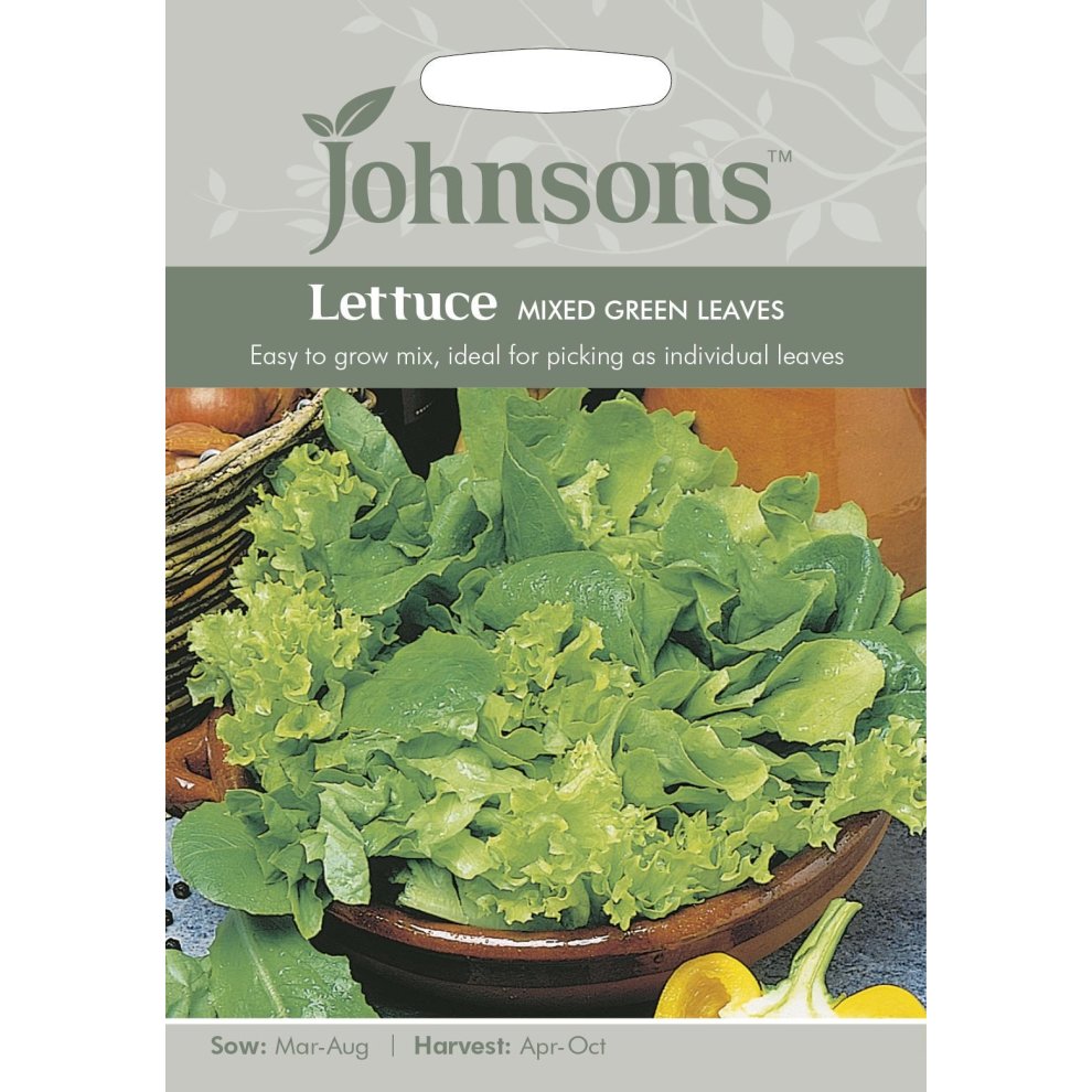 Pictorial seed packet featuring mixed green lettuce leaves, with vibrant greens and a bowl of fresh lettuce in the background, labeled with sowing and harvesting details.