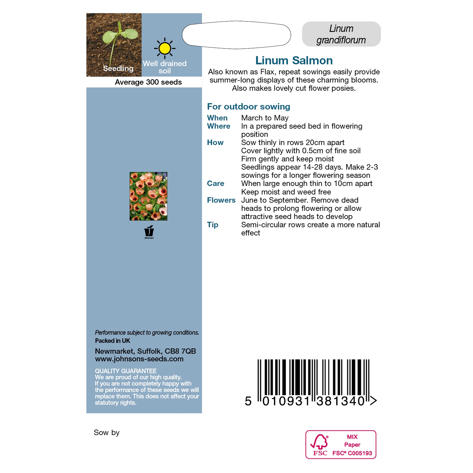 Johnsons Linum Salmon Seeds - image 3