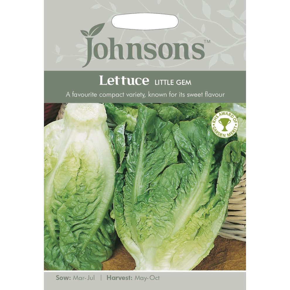 Pictorial seed packet for Johnsons Seeds featuring fresh green lettuce, labeled "Lettuce Little Gem," with sowing and harvesting details on a light gray background.