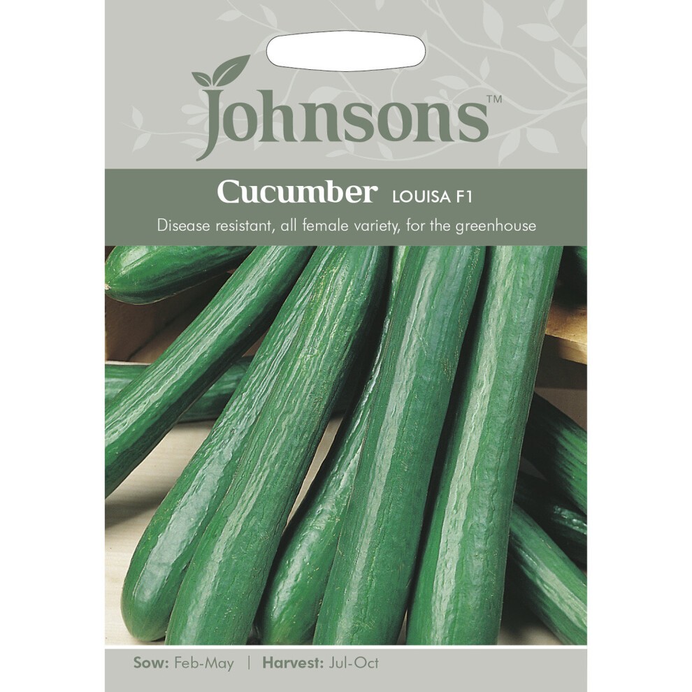 Green cucumber seeds package featuring "Johnsons" branding, with a close-up of several long, dark green cucumbers and text detailing sowing and harvesting information.