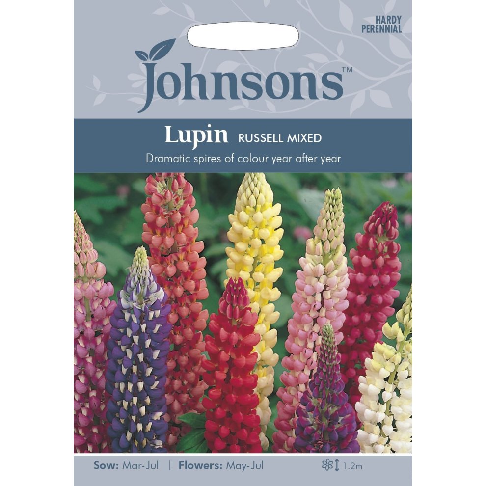 Pictorial seed pack featuring vibrant lupin flowers in various colors, with a blue header labeled "Johnsons" and details about sowing and flowering times.