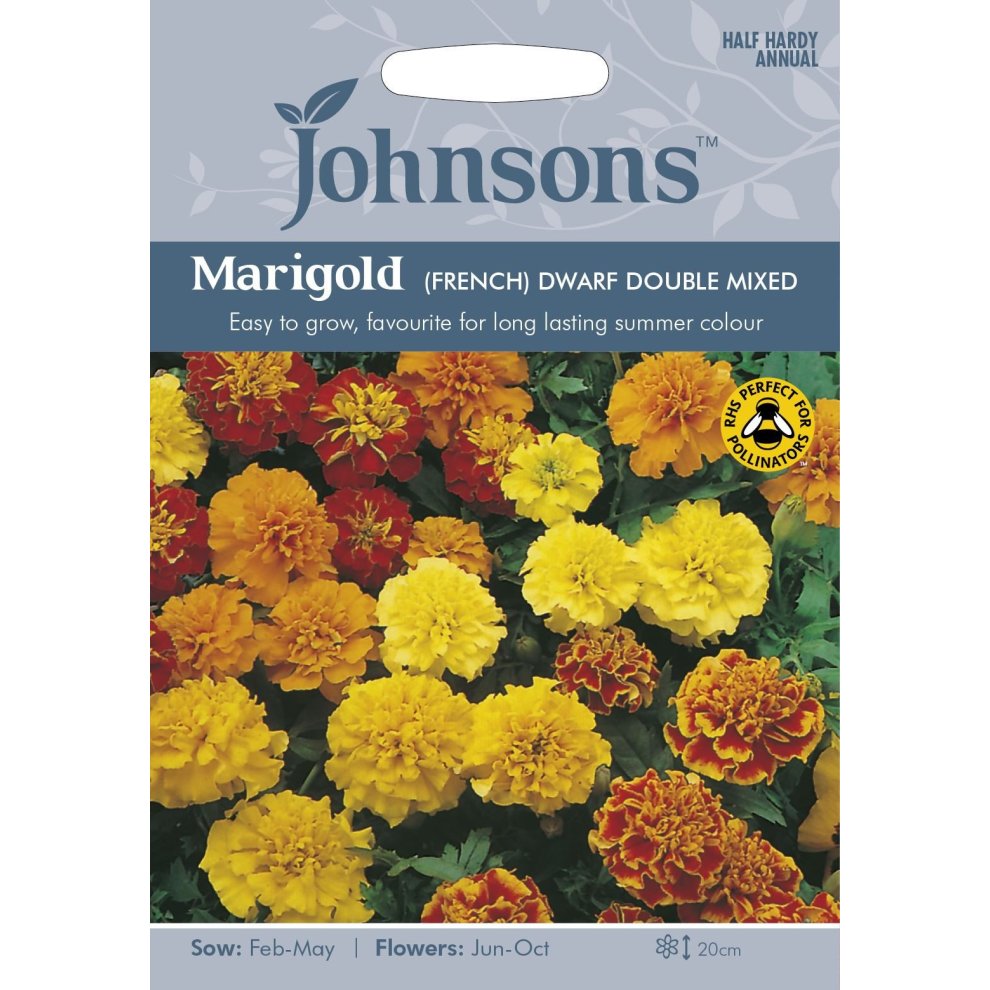 Colorful seed packet featuring vibrant marigold flowers in shades of orange, yellow, and red, with text highlighting the variety and growing instructions.