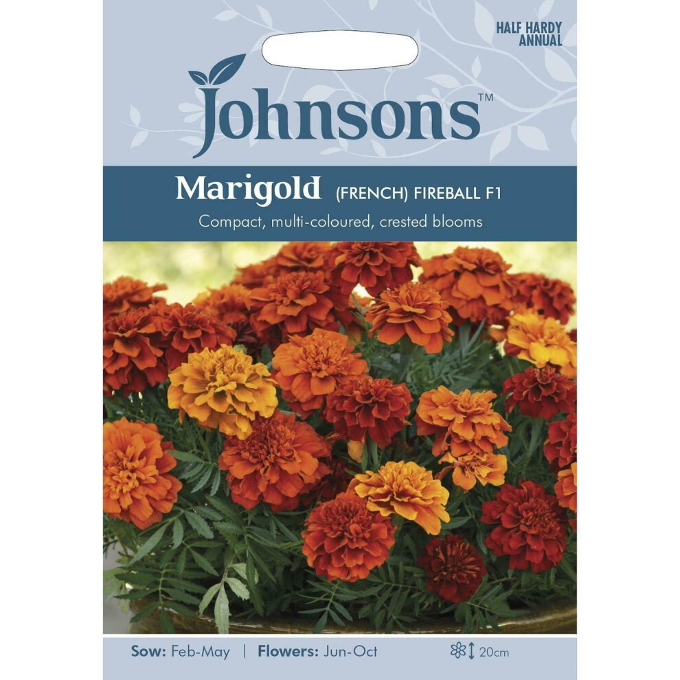 Brightly colored seed packet featuring Johnsons branding, showcasing vibrant orange and yellow Marigold French Fireball flowers with a blue background and sowing instructions.