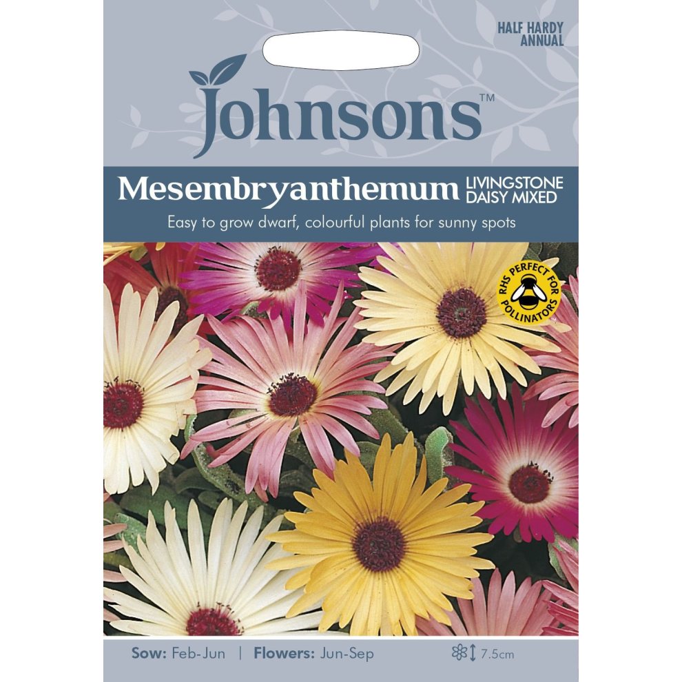 Colorful pack featuring various Mesembryanthemum Livingstone Daisy flowers in shades of pink, yellow, and white, with a clear label indicating sowing and flowering details.