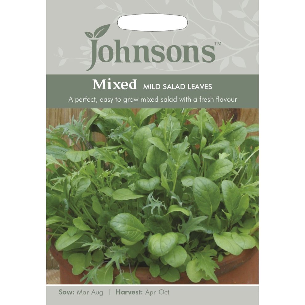 Pictorial seed pack featuring lush green mixed mild salad leaves, with a light grey background and Johnsons logo, detailing sowing and harvesting times.