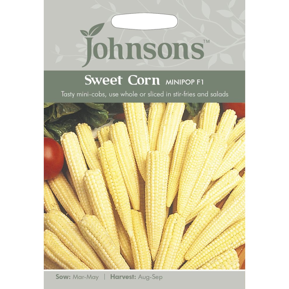 Pictorial seed pack featuring Johnsons Seeds logo, showcasing yellow mini-cobs of Sweet Corn Minipop F1 with text detailing sowing and harvesting information.