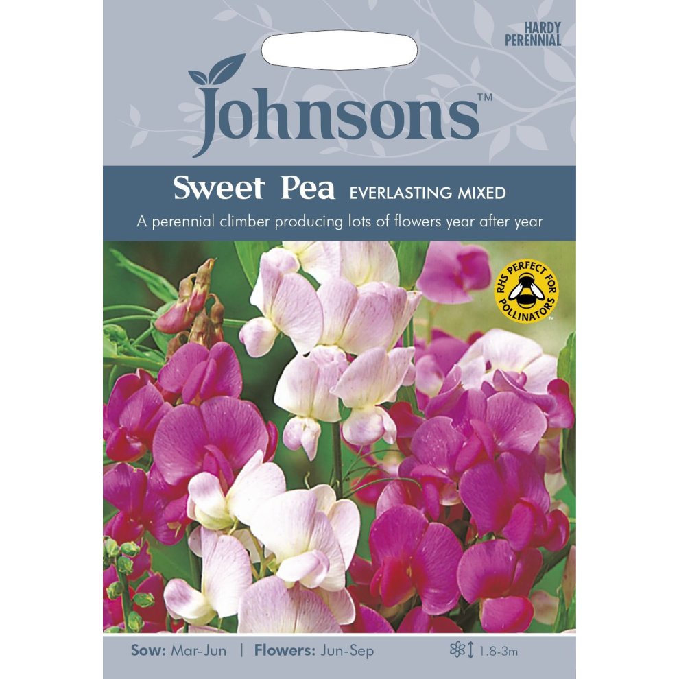 Pictorial seed packet featuring vibrant pink and purple Sweet Pea flowers, labeled "Johnsons," with sowing and flowering instructions on a light gray background.