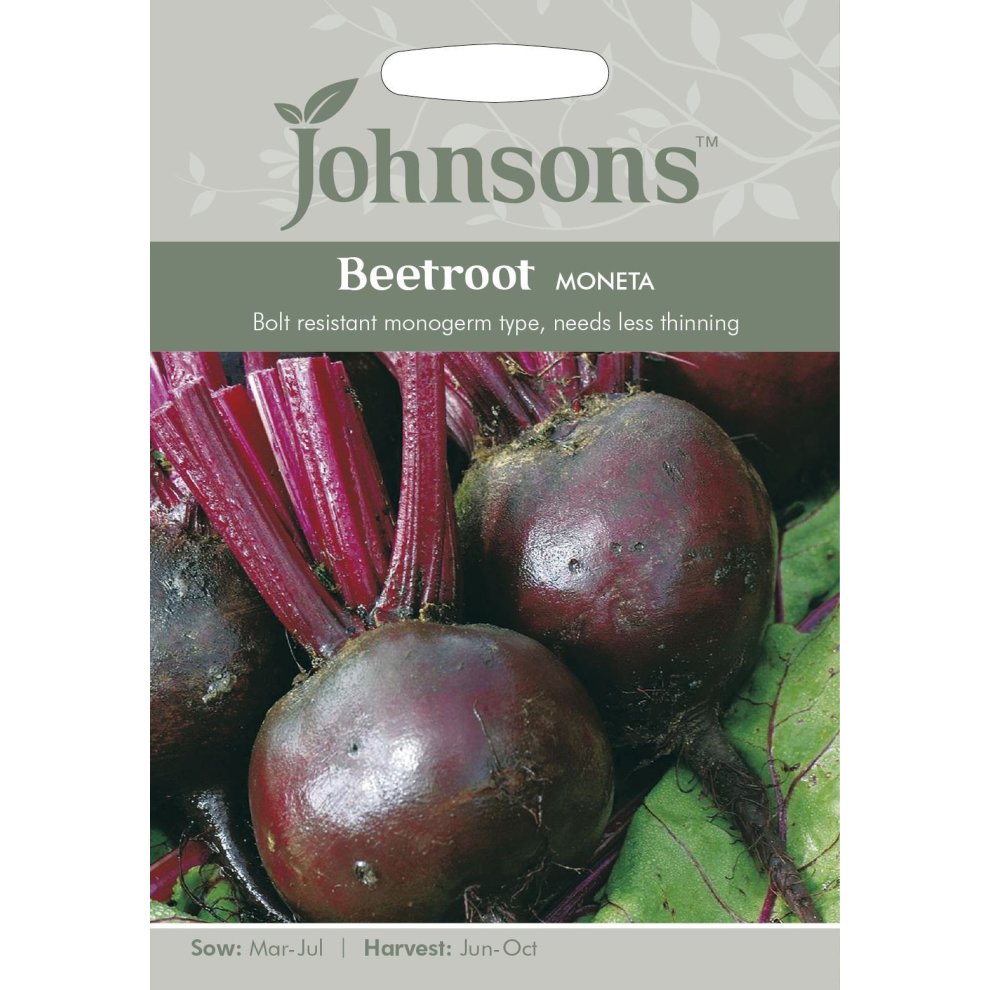 Pictorial seed packet featuring dark red beetroot with green leaves, labeled "Beetroot Moneta," indicating sowing and harvesting months.