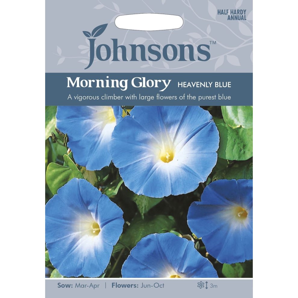 Pictorial seed pack featuring vibrant blue Morning Glory flowers, with a light gray background and text detailing sowing and flowering information.