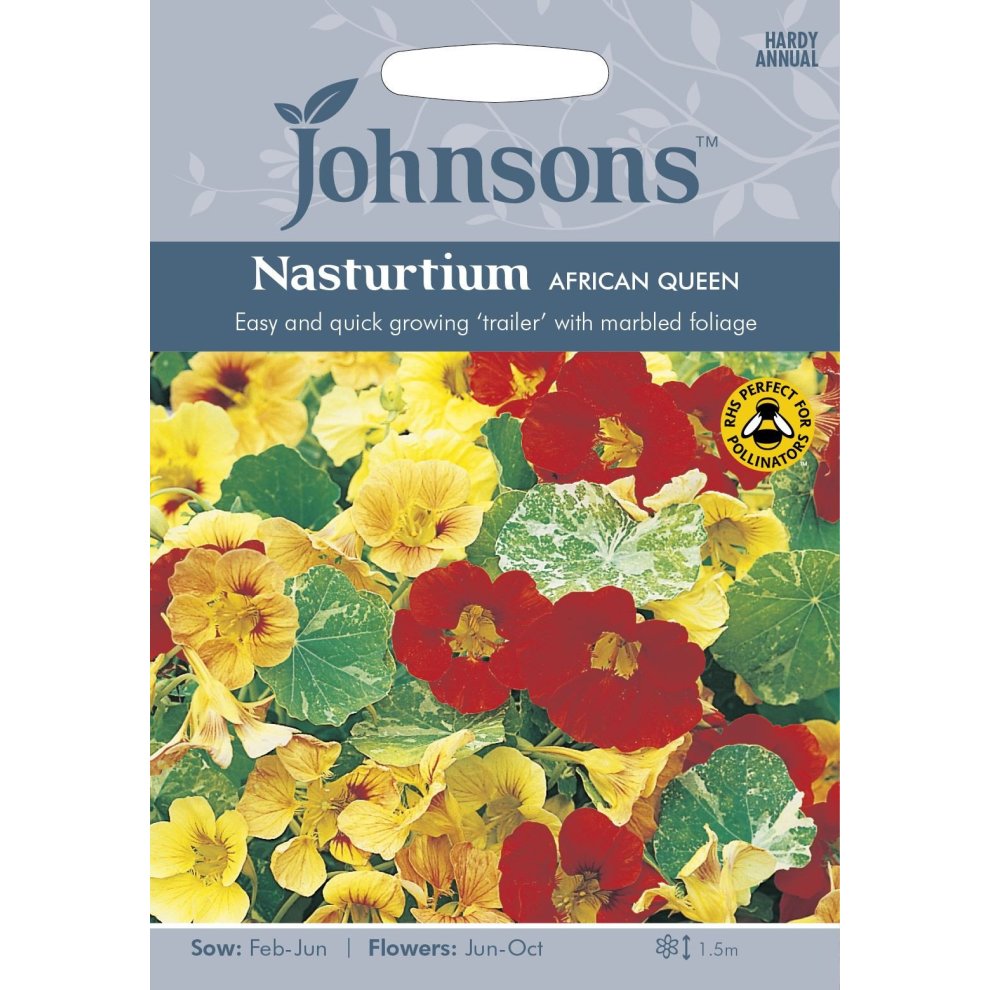 Packaged seed packet featuring vibrant red and yellow nasturtium flowers with marbled green foliage, labeled "Johnsons Seeds - Nasturtium African Queen - 25 Seeds."