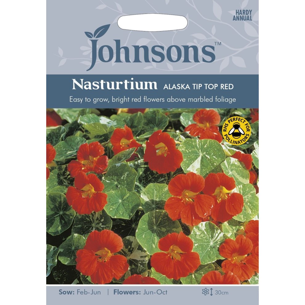 Bright red nasturtium flowers with marbled green foliage on a seed packet, featuring the Johnsons Seeds logo and details about sowing and flowering times.