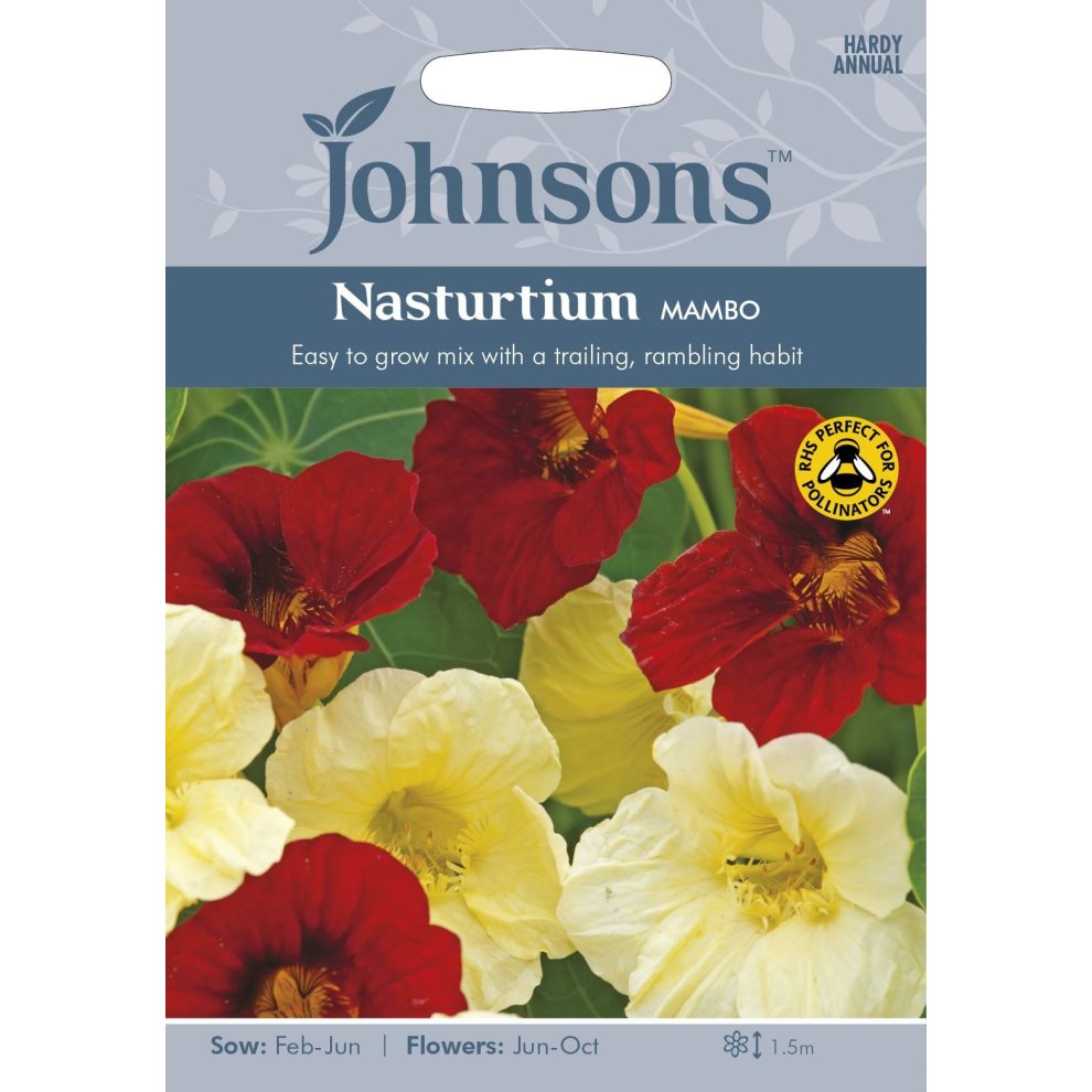 Johnsons Seeds Pictorial Pack for Nasturtium Mambo features vibrant red, yellow, and cream flowers, with sowing and flowering details on a colorful background.
