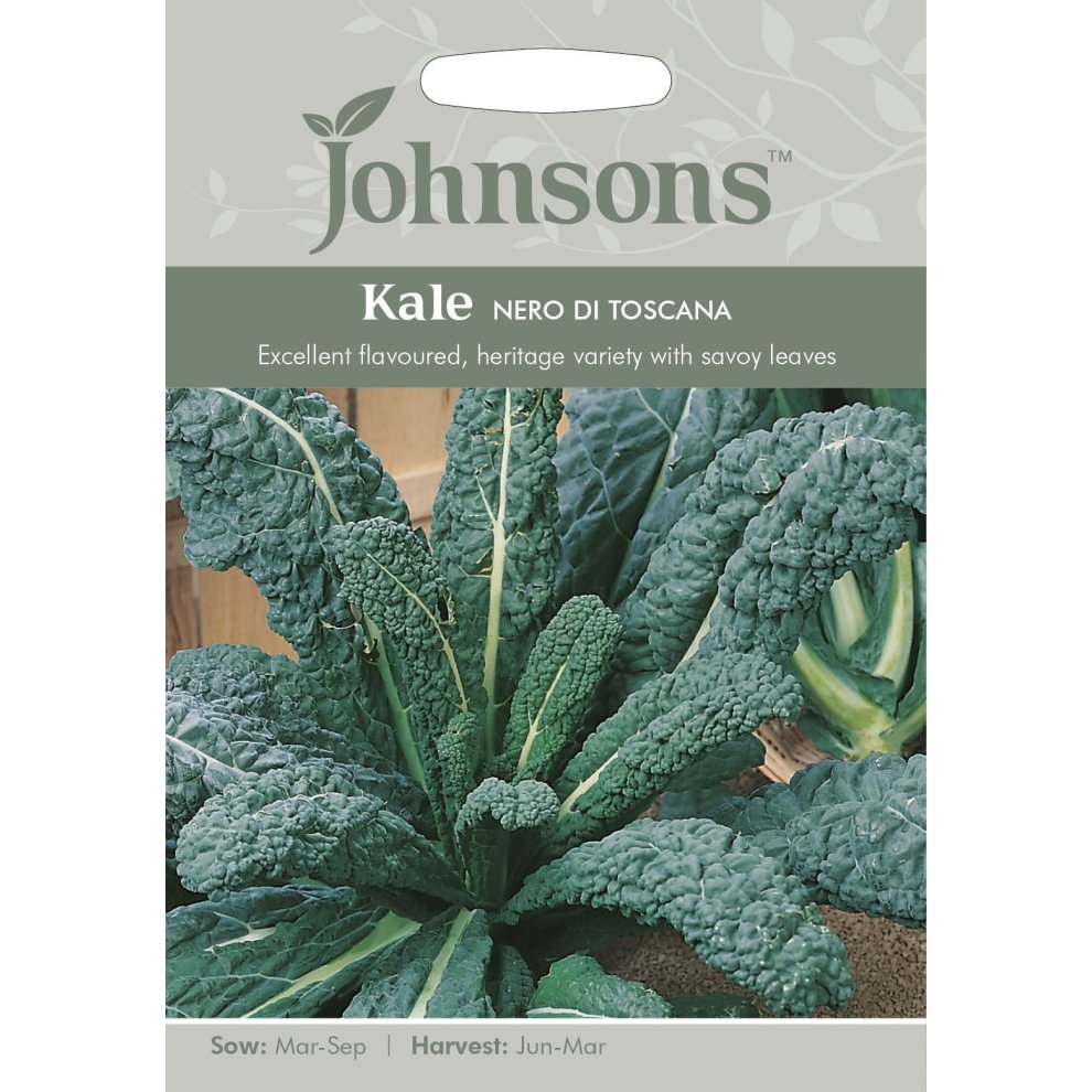 Pictorial seed pack featuring dark green, textured savoy kale leaves with the label "Johnsons Kale Nero Di Toscana" and details on sowing and harvesting times.