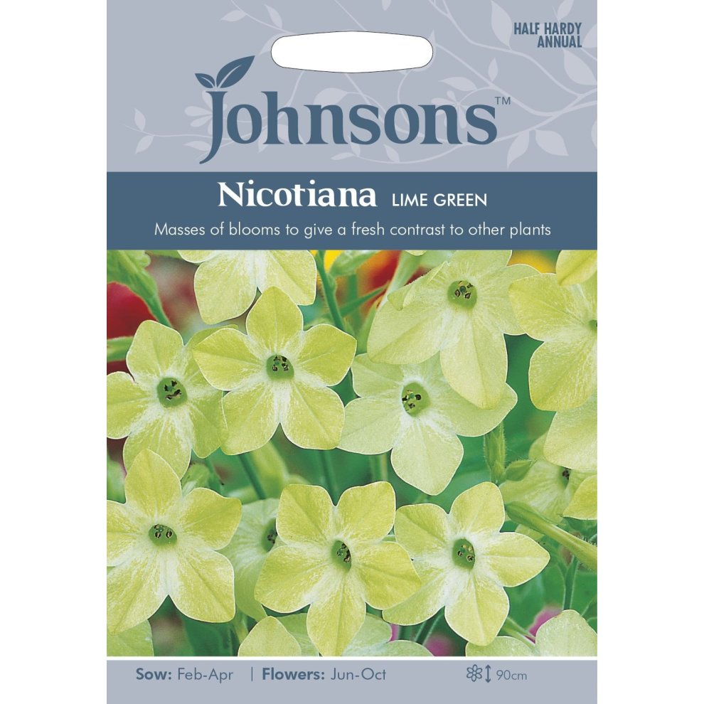 Johnsons Seeds Pictorial Pack featuring Nicotiana Lime Green, showcasing pale green flowers with a fresh contrast, and details on sowing and flowering times.