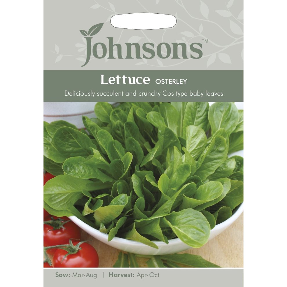 Pictorial seed pack featuring vibrant green lettuce leaves in a bowl, with red tomatoes at the bottom, labeled "Lettuce Osterley" and details on sowing and harvesting.