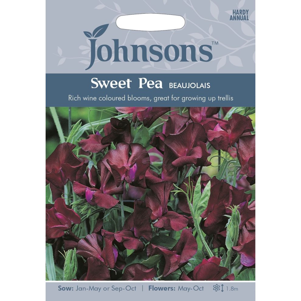Pictorial seed pack featuring rich wine-colored Sweet Pea Beaujolais flowers, with text detailing sowing and flowering times, set against a green background.