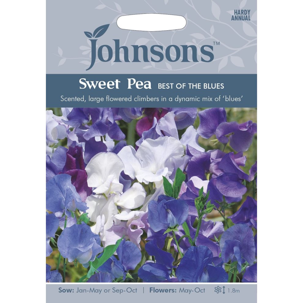 Brightly colored seed packet featuring "Sweet Pea the Best of the Blues" by Johnsons Seeds, showcasing a vibrant mix of blue and purple flowers, with planting details and a floral background.