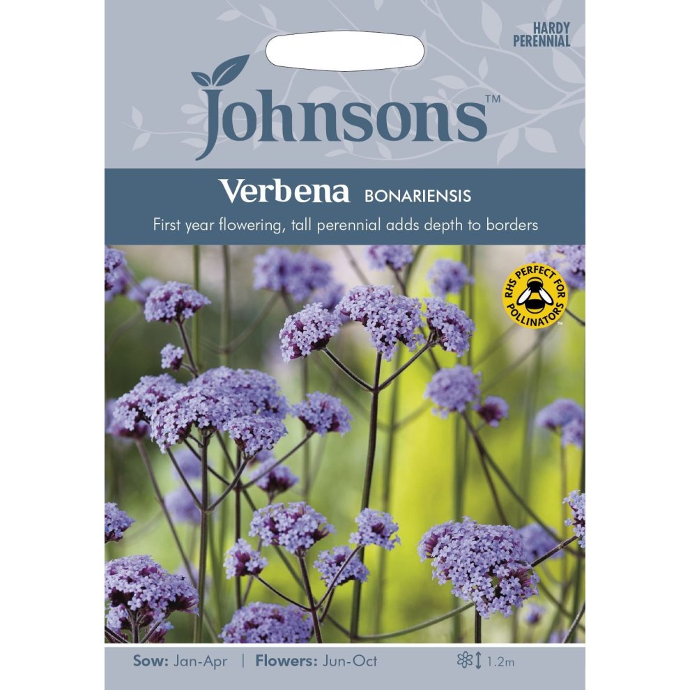 Pictorial seed pack featuring purple Verbena Bonariensis flowers, with text highlighting sowing and flowering details, set against a light blue background.