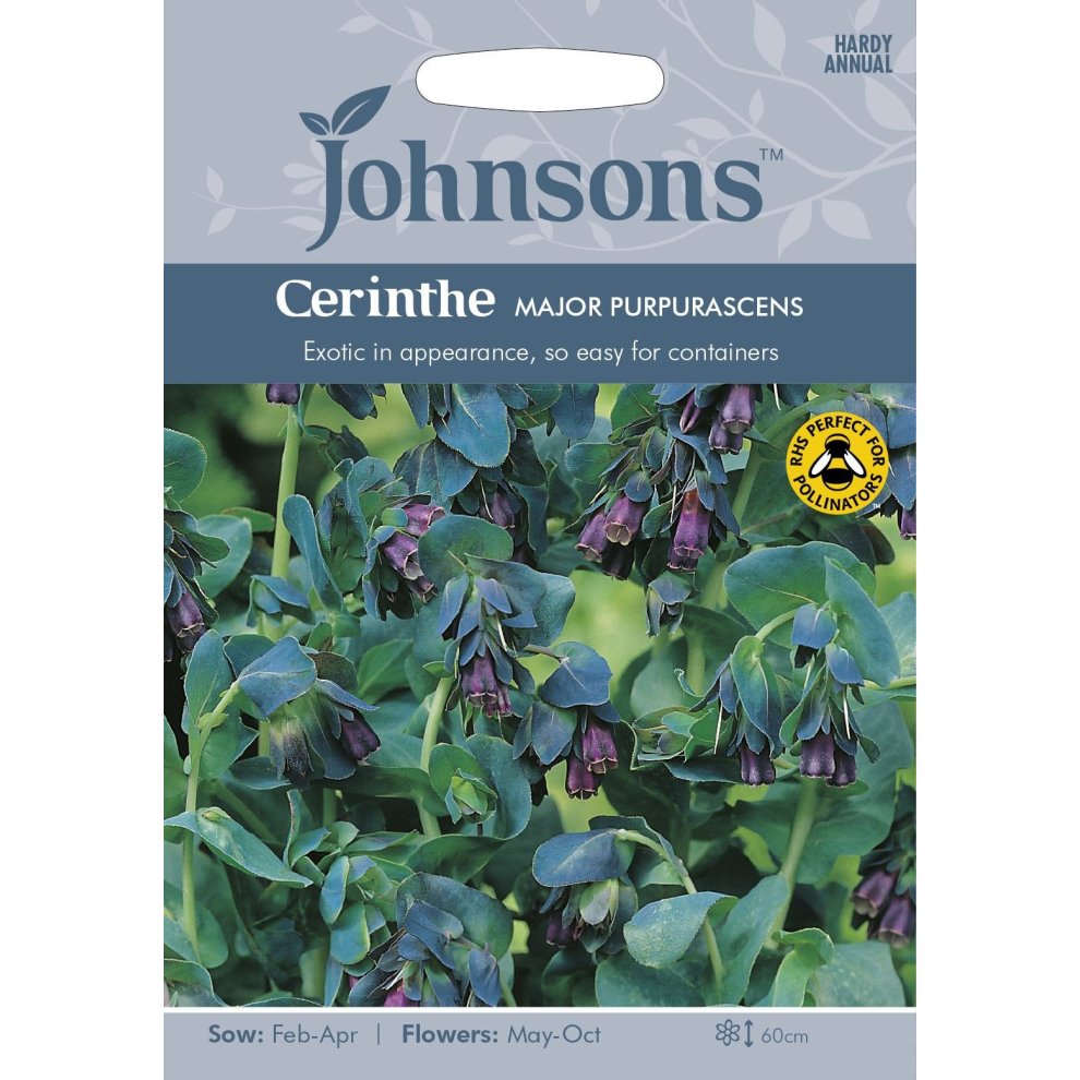Pictorial seed pack featuring Johnsons Seeds branding, showcasing Cerinthe Major Purpurascens with green foliage and purple bell-shaped flowers, labeled with sowing and flowering details.