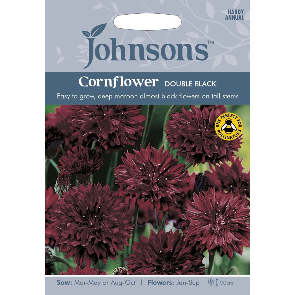 Johnsons Seeds Pictorial Pack featuring Cornflower Double Black, showcasing deep maroon flowers on tall stems, with sowing and flowering details on a light blue background.
