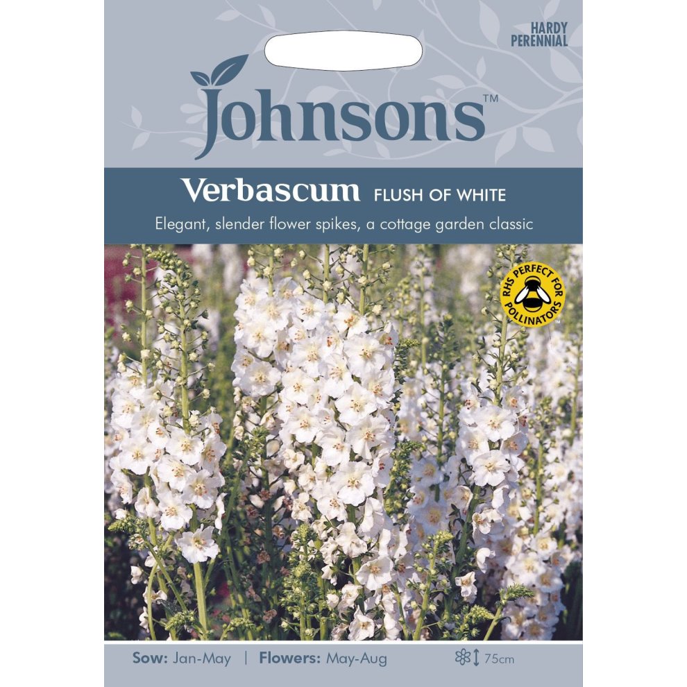 Pictorial seed pack featuring Johnsons Seeds for Verbascum Flush of White, showcasing elegant white flower spikes with green foliage, labeled with sowing and flowering details.