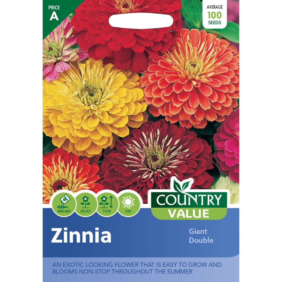 Colorful packet featuring vibrant zinnia flowers in yellow, orange, and red, labeled "Country Value Zinnia Giant Double," with details on growing and blooming.