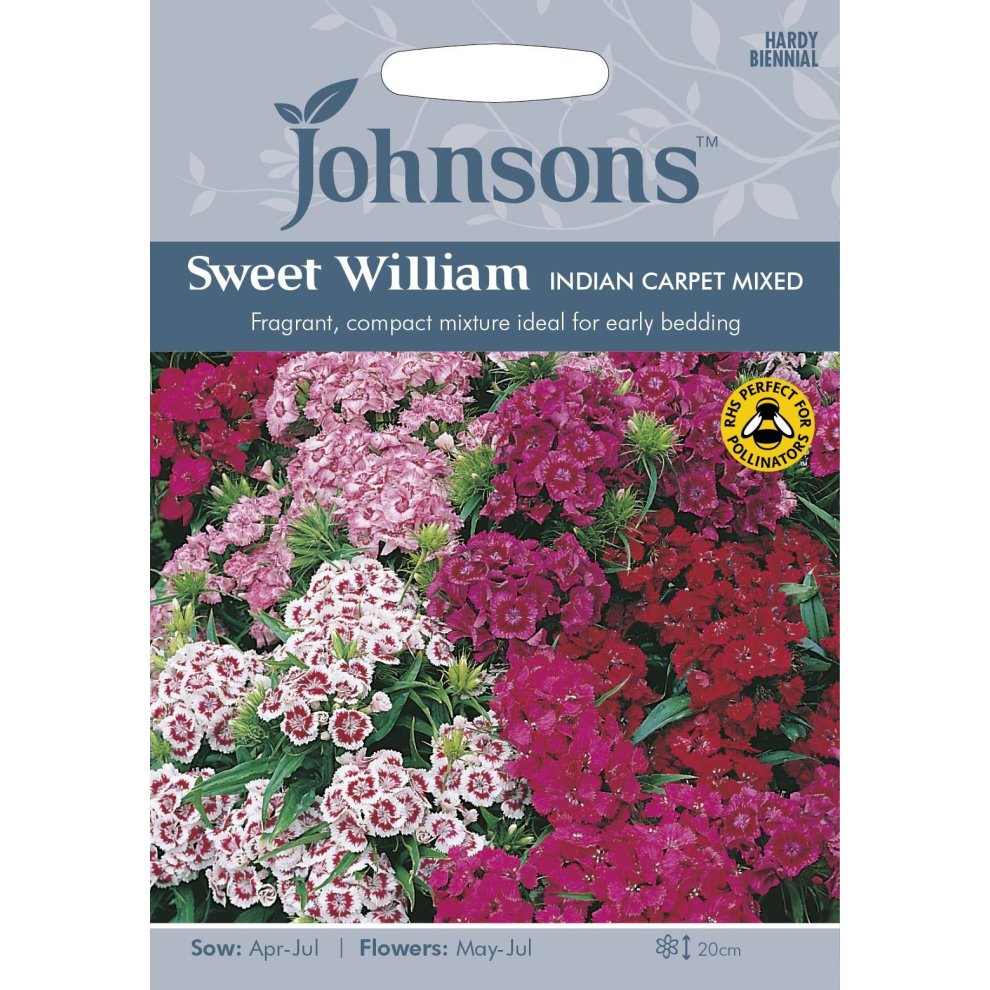 Packaged seeds for Sweet William Indian Carpet Mixed, featuring vibrant pink, red, and white flowers, labeled with sowing and flowering instructions, ideal for early bedding.