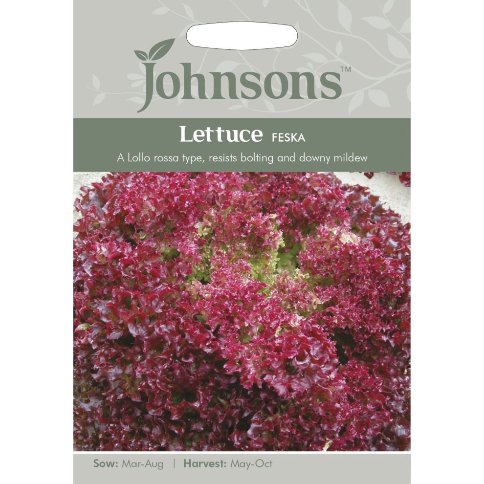 Pictorial seed packet for Johnsons Seeds featuring "Lettuce Feska," showcasing vibrant red and green lettuce leaves, with sowing and harvesting details on a light background.