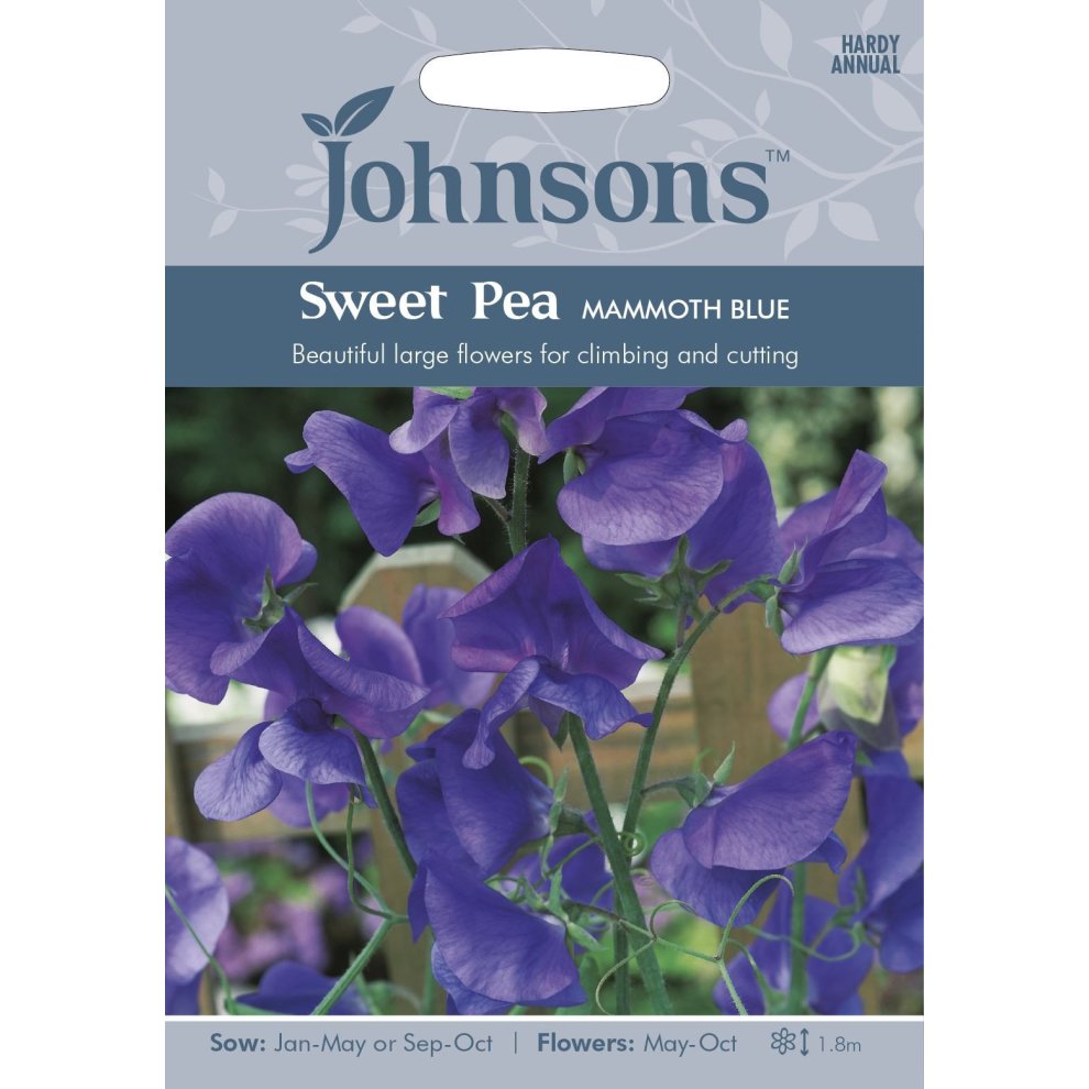 Pictorial seed pack featuring vibrant purple Sweet Pea Mammoth Blue flowers, with planting instructions and branding by Johnsons Seeds on a light blue background.
